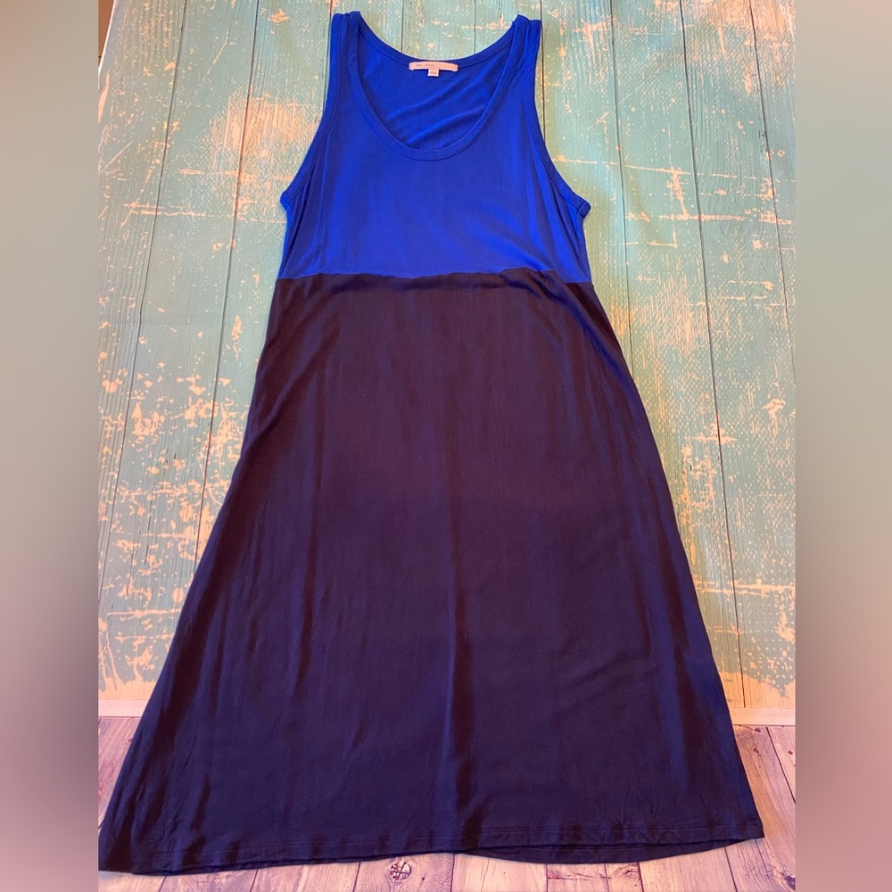 Blue Gap Dress